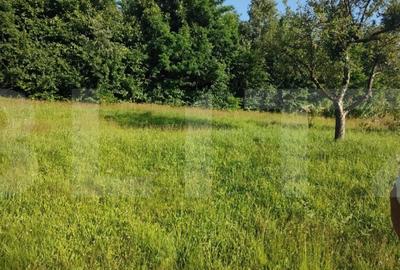 Teren, 700 mp pentru cabanute , toate utilita?ile in Fele - 2