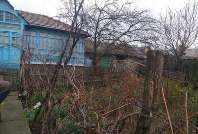 Casa muntenii de jos - 7