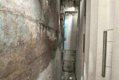 Spațiu comercial, de 250 mp, în Moșnița Nouă - 1