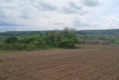 Teren de 500 mp, în Hidiș - 2