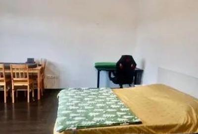 Inchiriere garsoniera cocheta, zona Blumana - 1