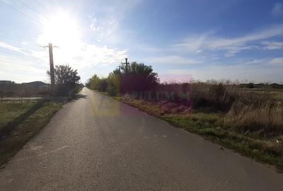 Teren la Asfalt cu utilitati alaturi (Curent & Gaz) langa Bucuresti - 12