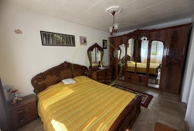 Apartament cu 2 camere semidecomandat, mobilat în Brazda lui Novac - 3