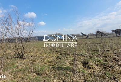 Teren de 978 mp, în Drăguțești - 2