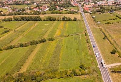 Teren extravilan Lunca Calnicului langa E574 - 20