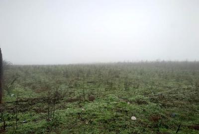 Teren de 6600 mp, în Vânători - 2