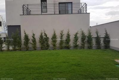 Vila Individuala 5 Camere | Complex Columbus - Scoala Americana | Curte - 2