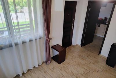 Casa de vacanta Dealul-Viei - 4