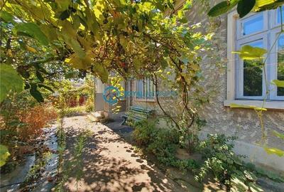 Casă individuală cu 3 camere cu Canalizare în Ana Ipătescu - 26