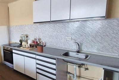 Casă individuală cu 1 camere cu Teren 3909 Mp în Șilea - 5