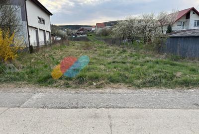 Teren Construcții intravilan de 980 mp, în Chinteni - 2