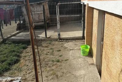 Vand casa fieni - 6