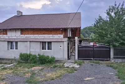 Casa de vinzare propietate - 5