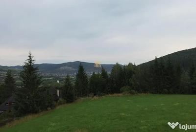 Teren de 5023 mp, în Voroneț - 1