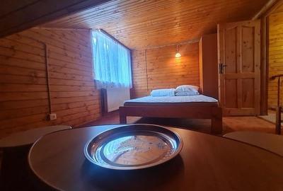 Incadrata de 4.200mp teren, Vila cu potential turistic, in inima Predealului - 21