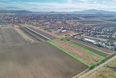 Teren Extravilan, P.U.Z. inceput - 2