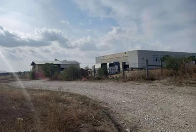 Teren de 10000 mp, în Dascălu - 3