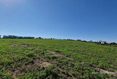 Teren intravilan in Vantori, Popricani,  ideal locuință sau investiție - 6