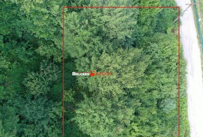 TEREN INTRAVILAN CONSTRUIBIL 400 mp | Statiunea Boga,... - 1