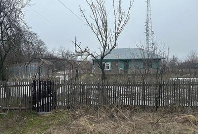 Casă cu Teren 2400 Mp în Toporu - 5