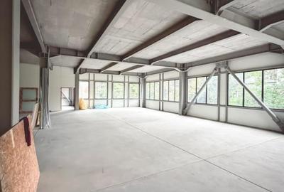 Spatiu Comercial de inchiriat | Bulevardul Basarabia | - 10