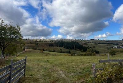 Teren de 14000 mp, în Măguri - 5