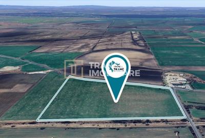 Teren agricol extravilan de 128500 mp, în Vest - 1