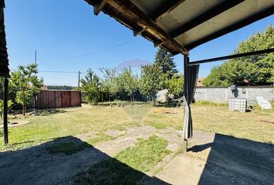 Teren Construcții intravilan de 6210 mp, în Apateu - 15