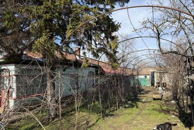 Casă cu 4 camere în Viișoara - 5
