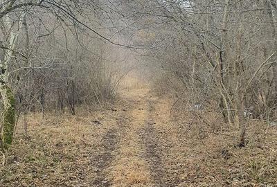 Teren de 2800 mp, în Sovata - 14