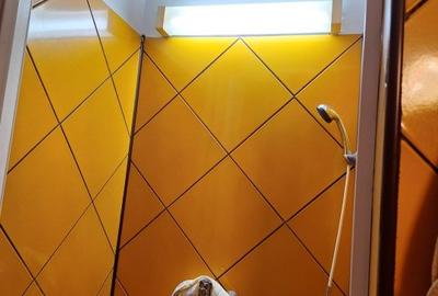 Vila fara risc seismic,renovata,izolata ext,P+1+pod inalt,9 camere,4 bai,pivnita - 41