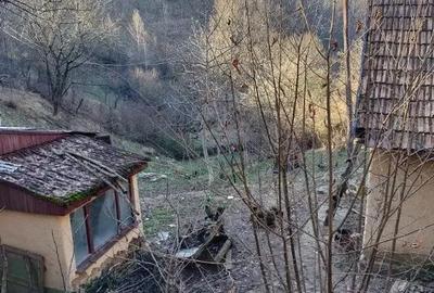 Casă cu 2 camere cu Teren 7500 Mp în Valea Roșie - 8