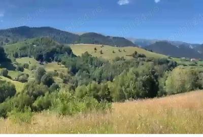 Teren de 46050 mp, în Șirnea - 4