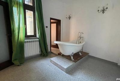 Casă cu 6 camere în Parcul Carol - 7