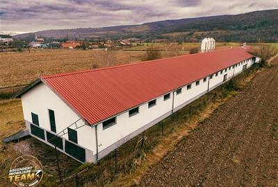 Spațiu industrial, de 794 mp, în Malnaș - 3