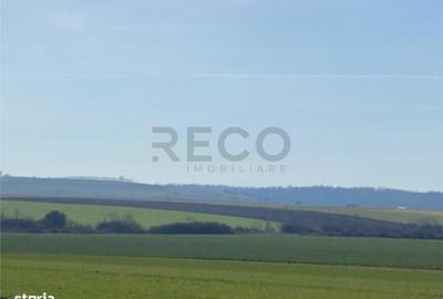 Teren de 42050 mp, în Tăut - 1