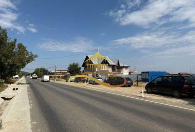 Casa noua de vanzare in Bacau varianta Hemeius - 13