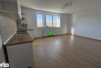 Apartament cu 2 camere, mobilat în Turnișor - 2
