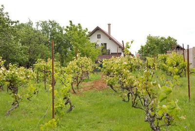 Vila 5 dormitoare, 4 bai, 2 248mp teren, piscina. Pre?: 229 000 E. - 7