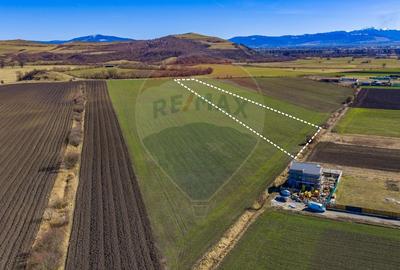 Teren agricol extravilan de 21893 mp, în Bod - 5