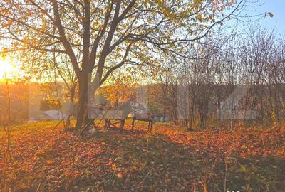 Teren de 3484 mp, în Viforâta - 5