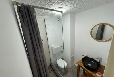 Apartament cu o camera langa Universitatea Bucuresti - 12