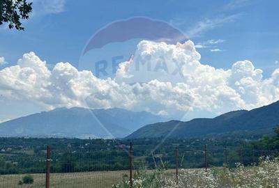 Teren 857mp Zarnesti / Strada F.N - 5