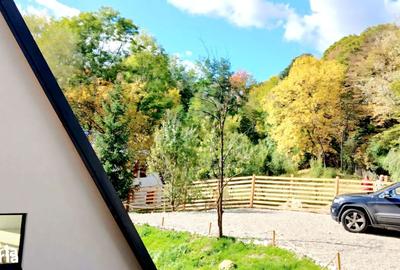 Casă cu 4 camere în Adunați - 15