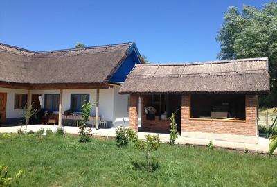 Proprietar vând 2,6 ha de teren parcelat, lângă Dunăre la Nufăru, Tulcea - 10