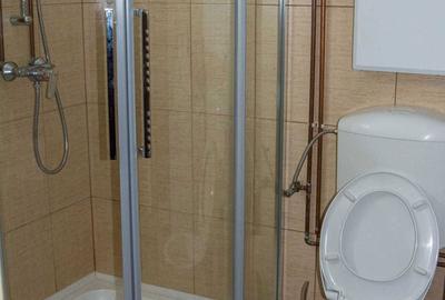 Casă cu 3 camere în Gura Râului - 3