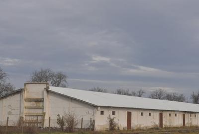 Spațiu industrial, în Ceamurlia de Jos - 4
