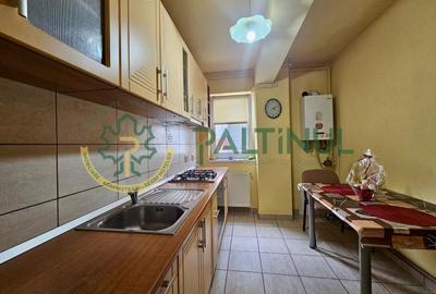 Apartament cu 2 camere decomandat, mobilat în Turnișor - 2