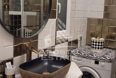 Apartament cu 3 camere decomandat, mobilat în Iosefin - 3