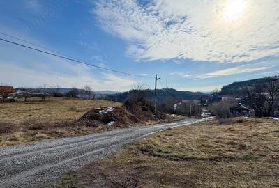 Teren de 28381 mp, în Central